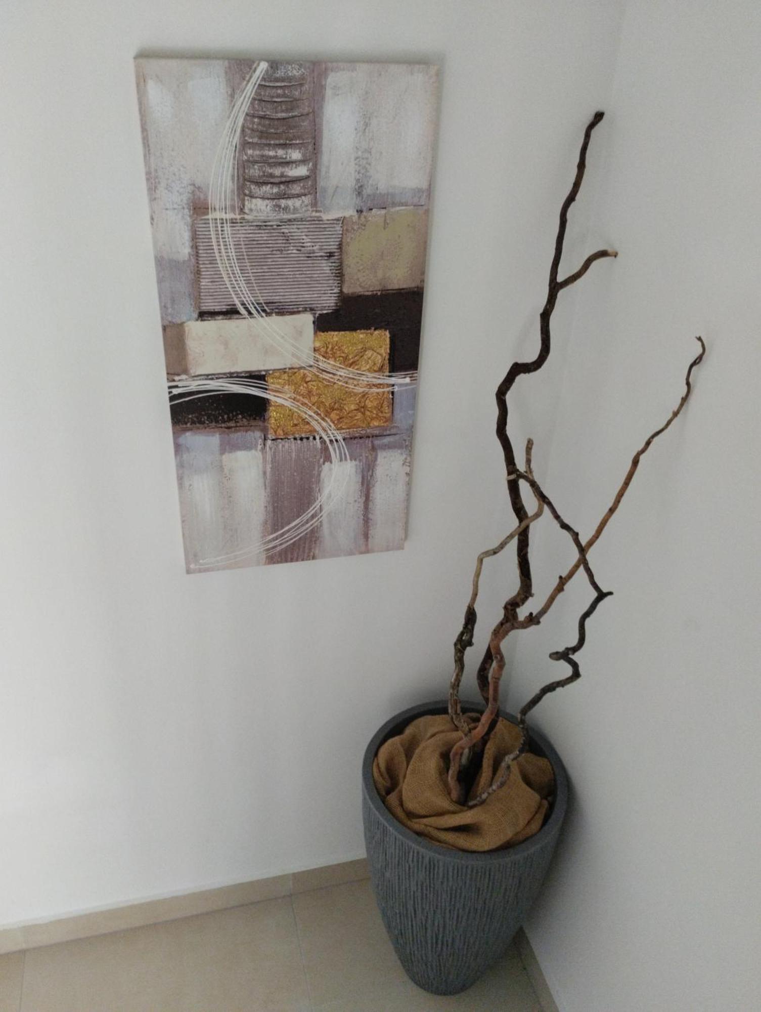 Iris Daire Ivanica Dış mekan fotoğraf